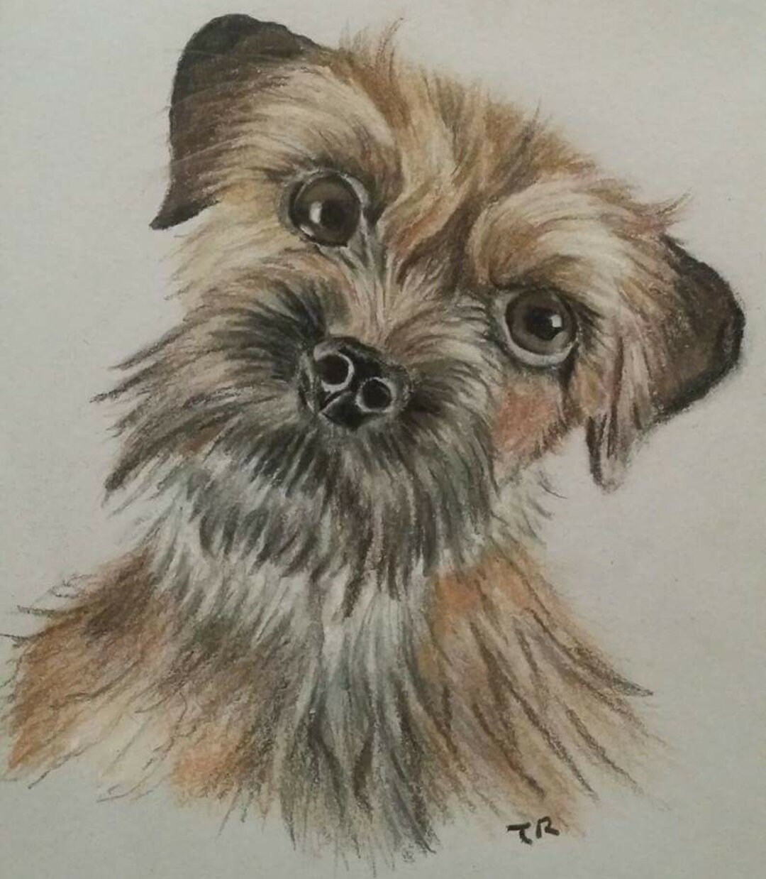 Custom Pastel Pet Portraits From Photos Original Personalised Dog Cat ...