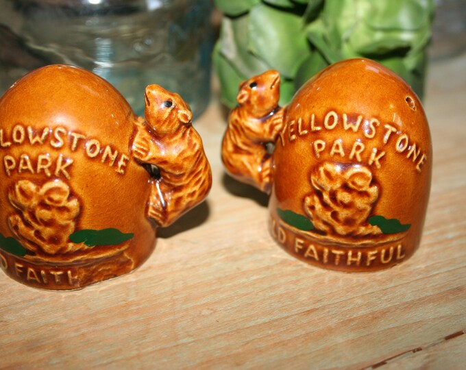 Yellowstone Park Salt and Pepper Shakers , Vintage Souvenir, Old