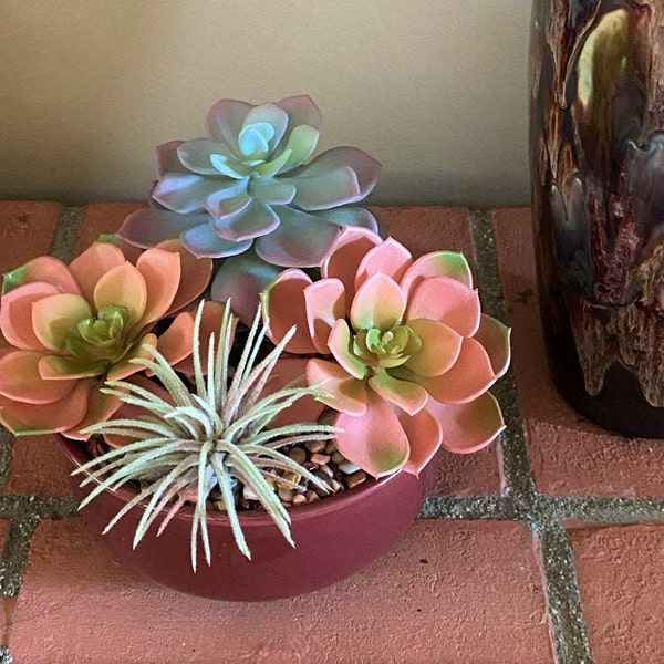 Pot for Succulents Etsy