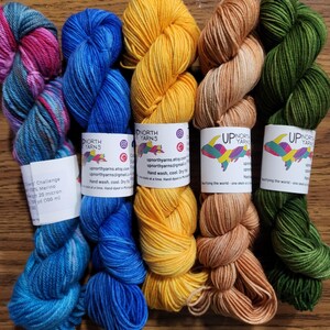 May include: Five skeins of yarn arranged side-by-side, featuring colors of variegated pink and blue, solid bright blue, solid yellow, solid light tan, and solid dark green. Each skein has a white paper label with the text Up North Yarns.