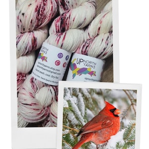 Winged Things Series - Cardinals in Winter, Hand Dyed Speckled Yarn image 2