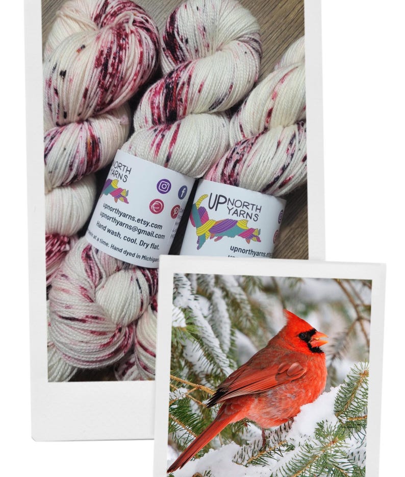 Winged Things Series - Cardinals in Winter, Hand Dyed Speckled Yarn image 2