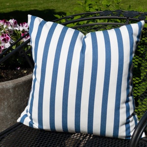 Blue and White Striped Outdoor Pillow Cover: Perennials Designer Pillow (20x20)