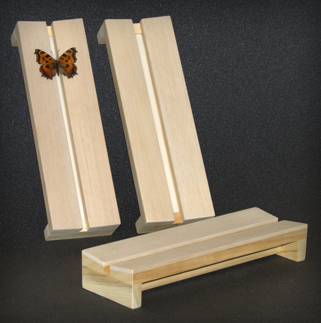 Insect Study Board V Shape. Set of 3. Insects. Butterfly. Mounting Board for Spreading the ...