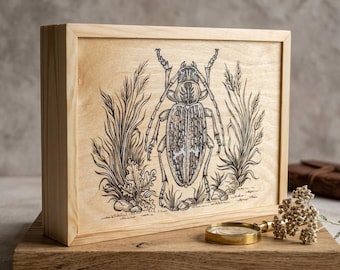 Drewniana skrzynka ekspozycyjna na owady z ręcznie malowaną ilustracją – 8 x 12 cali, skrzynka na okazy – profesjonalna rama entomologiczna – pusta obudowa