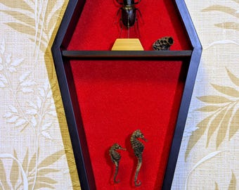 Wall shelf. The regiment is a coffin, a witch shelf. Halloween, Gothic, tattoo / piercing salons