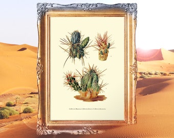 Cacti Art, Botanical Art, Botany Home Decor, Desert Decorating, Gift for Brother Art, Nature Print, Cacti Desert Print E08_1