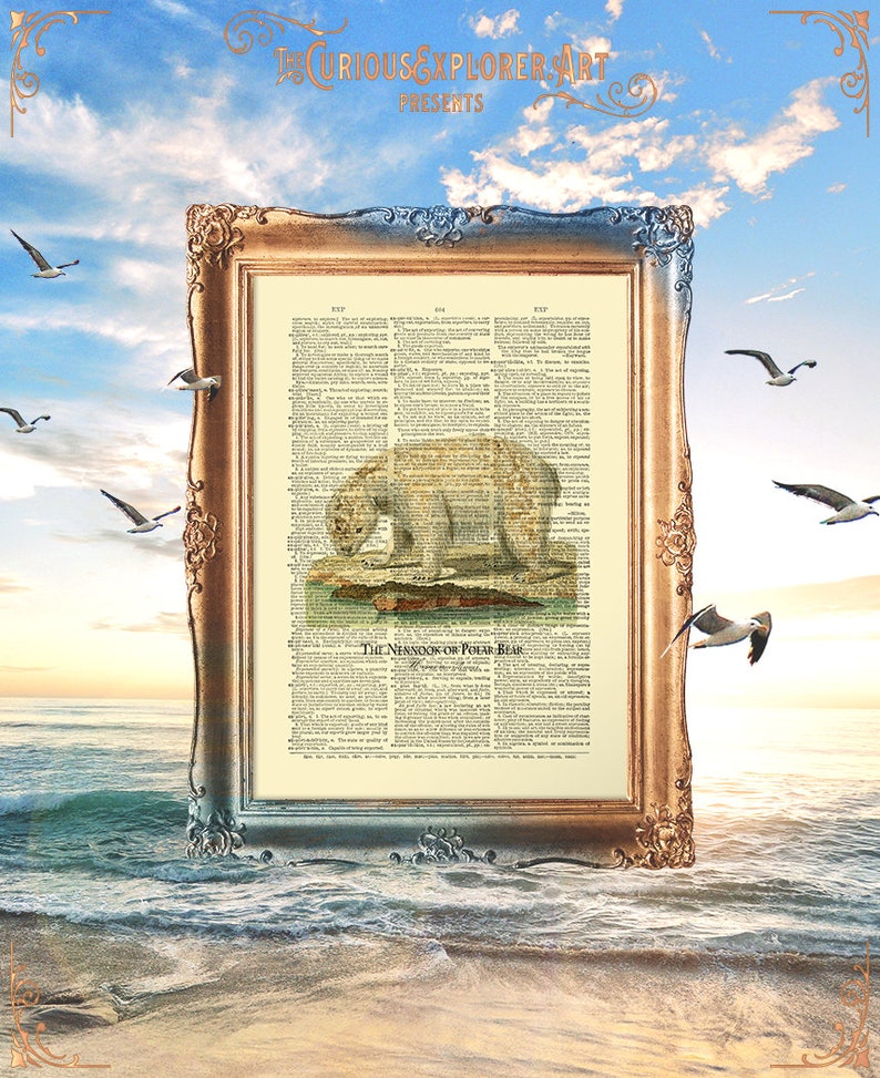 E18/_29 Bear Baby Shower Bear Print Bear Baby Gift Bear Art Print Animal Home Decor Bear Nursery Decor Funny Bear Print