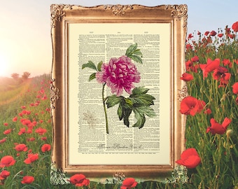Peony Home Decor, Botany Prints, Flower Victorian Art, Peony Flower Print, Peony Wall Decor, Gift for Wife, Floral Home Decor - E10_3