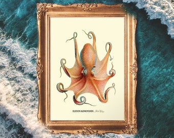 Octopus Wall Art, Octopus Art, Nautical Decor, Beach Decor, Teen Room Decor, Beach Octopus Print, Seaside Octopus Art - E02_4