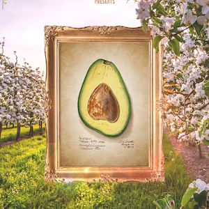 Avocado Print, Avocado Wall Decor, Green Fruit Decor, Bedroom Fruit Print, Vintage Wall Art, Farmhouse Art Print, Art Gift E23_35