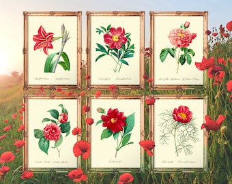 Red Flower Poster, Flowers Print Set, Bathroom Floral Art, Wedding Favor Poster, Botany Wall Hangings, Love Gift Poster - E11_Set62