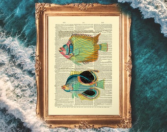 Color Fish Print, Fish Illustrations, Tropical Fish Poster, Entryway Fish Prints, Fish Print Girl Gift, Coastal Art Print - E21_15