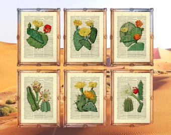 Cactus Print, Succulents Print, Cacti Print, Desert Print, Soutwestern Decor, Kitchen Decor, Botany Set - E08_Set81