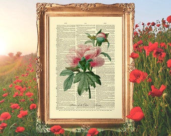 Pivoine Print, Flower Print Gift, Bedroom Art Prints, Anniversary Wall Art, Botanicals Prints, Xmas Gift Wall Art - E11_44