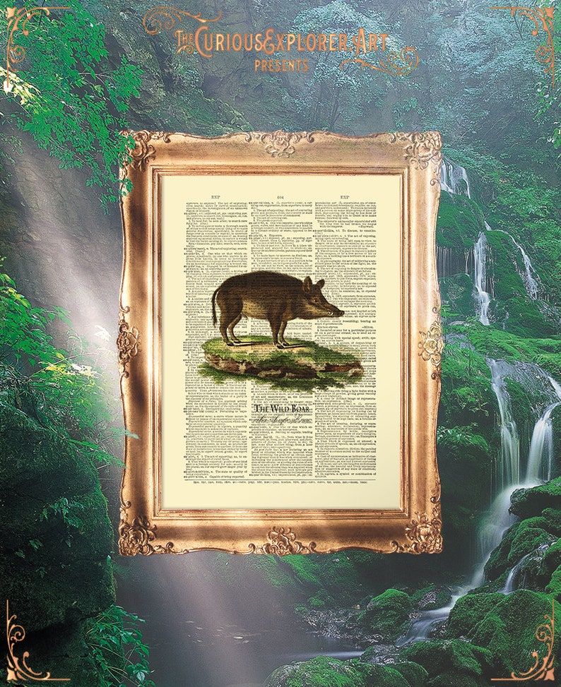 Boar Child Gift Vintage Animal Decor Boar Decor Animal Home Decor Boar Father Gift E18/_116 Boar Poster Boar Print
