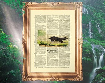 Skunk Nursery Decor, Funny Skunk Print, Skunk Baby Gift, Animal Prints, Skunk Poster, Skunk Print, Skunk Baby Shower - E18_37