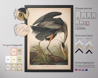 Bird Print, Large Wall Art, Large Framed Art, Vintage Bird Prints, Living Room Art - E37_22