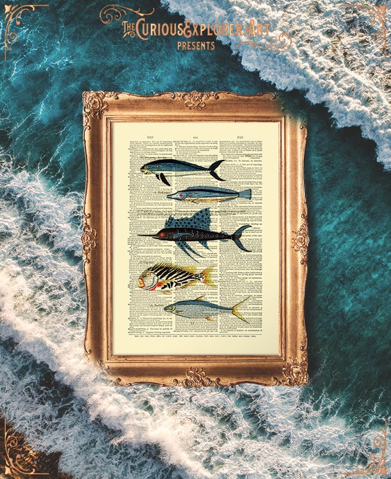 Antique Fish Prints, Laundry Fish Print, Baby Girl Prints, Fish