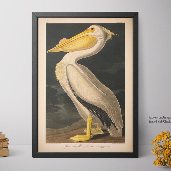 Wall Decor, Framed Bird Poster, Large Wall Art Print, Bedroom Home Decor, Pelican Print - E37_26