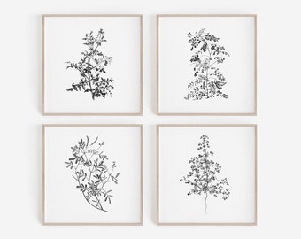 Digital Prints, Set of 4 Prints, Square Prints, Farmhouse Prints, Botanical Wall Art, Poster Prints, Large Wall Art, Wall Decor, Farmhouse