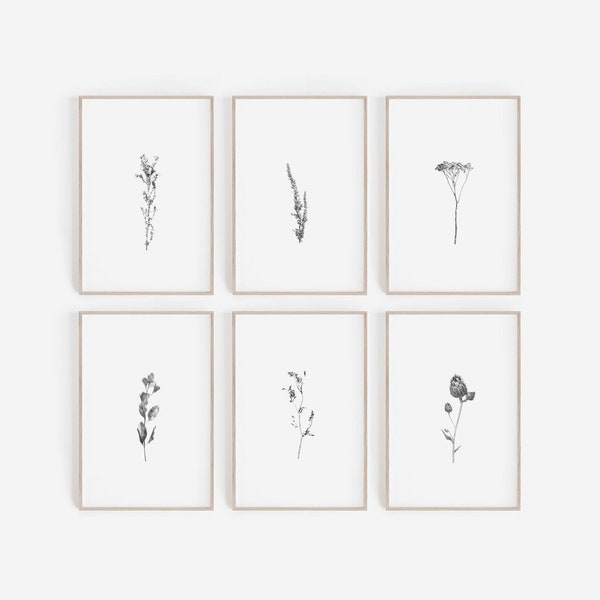 Set of 6 Prints,Prints Art,Wall Art Prints,Wall Decor,Home Decor,Art,Digital Prints,Black and White Art,Minimalist Prints,Botanical Prints