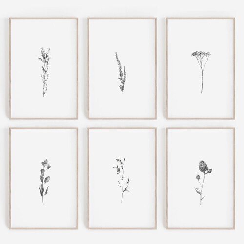 Printable Wall Art Black and White Botanical Print Set of 6 - Etsy