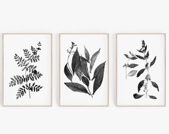 Digital Prints, Botanical Prints, Set of 3 Prints, Large Wall Art, Farmhouse Wall Art, Farmhouse Decor, Modern Farmhouse, Wall Art, Prints