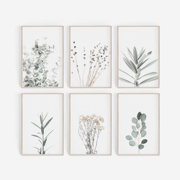 Set of 6 Prints, DIGITAL Prints, Botanical Prints, Botanical Posters, Farmhouse Prints, Farmhouse Wall Art, Farmhouse Decor, Home Decor, Art