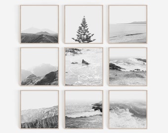 Prints, Nature, Digital Prints, Set of 9 Prints, Square Prints, Black and White Prints, Forest Wall Art, Minimalist Wall Art, Nordic Prints