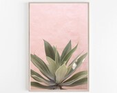Pink Wall Art,Pink Prints,Succulent Print,Pastel Print,Digital Print,Pastel Wall Art,Pink,Wall Print,Digital Download,Pastel Decor,Wall Art
