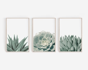 Succulent Prints, Succulent Art Prints, Succulent Wall Art, Set of 3 Prints, Set of 3, Wall Art, Art Prints, Green Wall Art, Wall Decor, Art