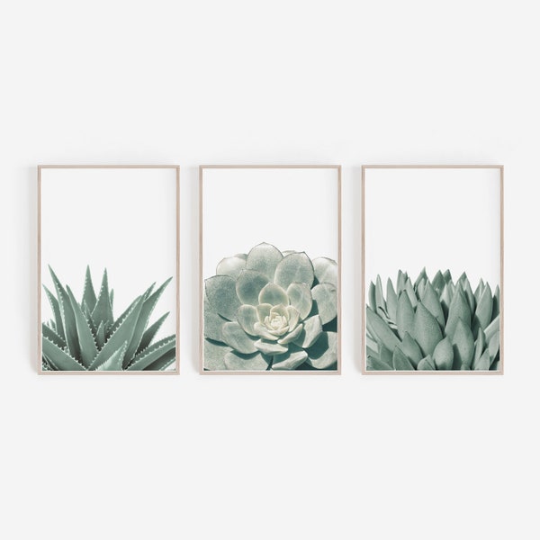 Succulent Prints, Succulent Art Prints, Succulent Wall Art, Set of 3 Prints, Set of 3, Wall Art, Art Prints, Green Wall Art, Wall Decor, Art