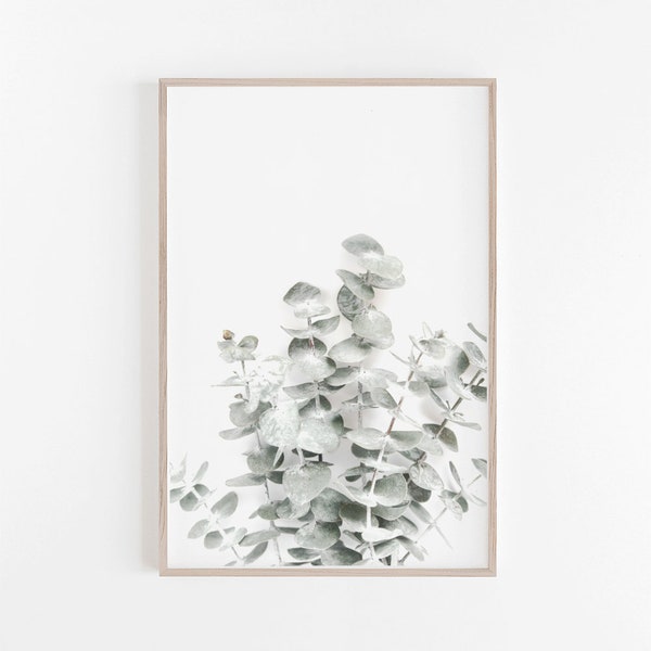 Eucalyptus Print,Botanical Print,Eucalyptus Download,Eucalyptus Leaves,Botanical Wall Art,Eucalyptus Art Print,Eucalyptus,Nature Art Print