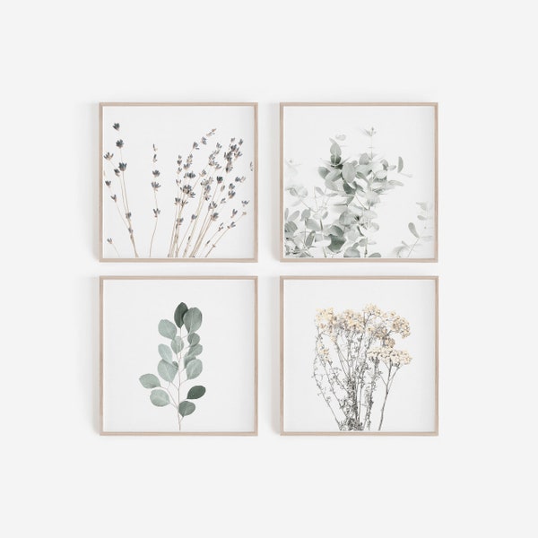 Digital Prints, Set of 4 Prints, Farmhouse Prints, Square Prints, Botanical Wall Art, Poster Prints, Botanical Prints, Wall Decor, Art Print