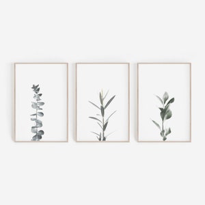 Set van 3 prints, set van 3 kunst aan de muur, botanische print, botanische kunst aan de muur, eucalyptus print, eucalyptus kunst aan de muur, groen prints, kunst aan de muur