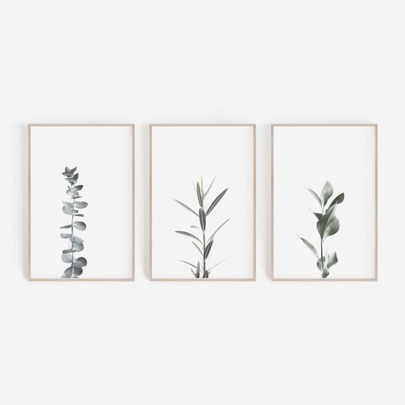 Set Of 3 Prints Wall Art Botanical Print - Botanical Wall Art Set Of 3 Set Of 3 Prints Wall Art Botanical Print - Botanical Wall Art Set Of 3