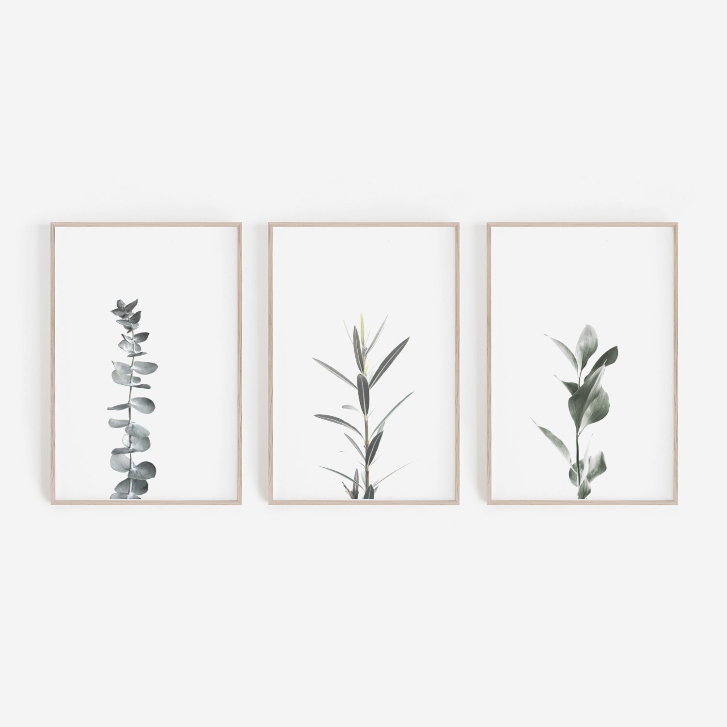 Set of 3 Prints Set of 3 Wall Art Botanical Print Botanical | Etsy