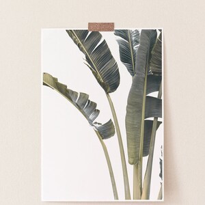 Leaves Print,Palm Print,Palm Leaves Print,Tropical Print,Tropical Wall Art,Leaves Wall Art,Leaf Print,Tropical Decor,Digital Prints,Wall Art image 2