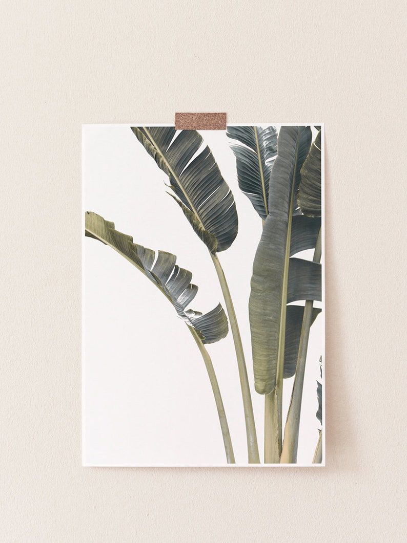 Leaves Print,Palm Print,Palm Leaves Print,Tropical Print,Tropical Wall Art,Leaves Wall Art,Leaf Print,Tropical Decor,Digital Prints,Wall Art image 2