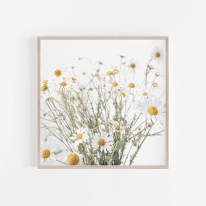 Farmhouse Print, Digital Print, Farmhouse Wall Art, Camomile Print, Wall Art, Farmhouse Art Decor, Square, 8x10, 8.5x11, 5x7, 11x14 Prints image 1