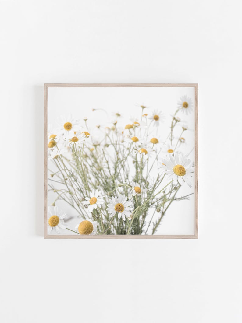 Farmhouse Print, Digital Print, Farmhouse Wall Art, Camomile Print, Wall Art, Farmhouse Art Decor, Square, 8x10, 8.5x11, 5x7, 11x14 Prints image 1