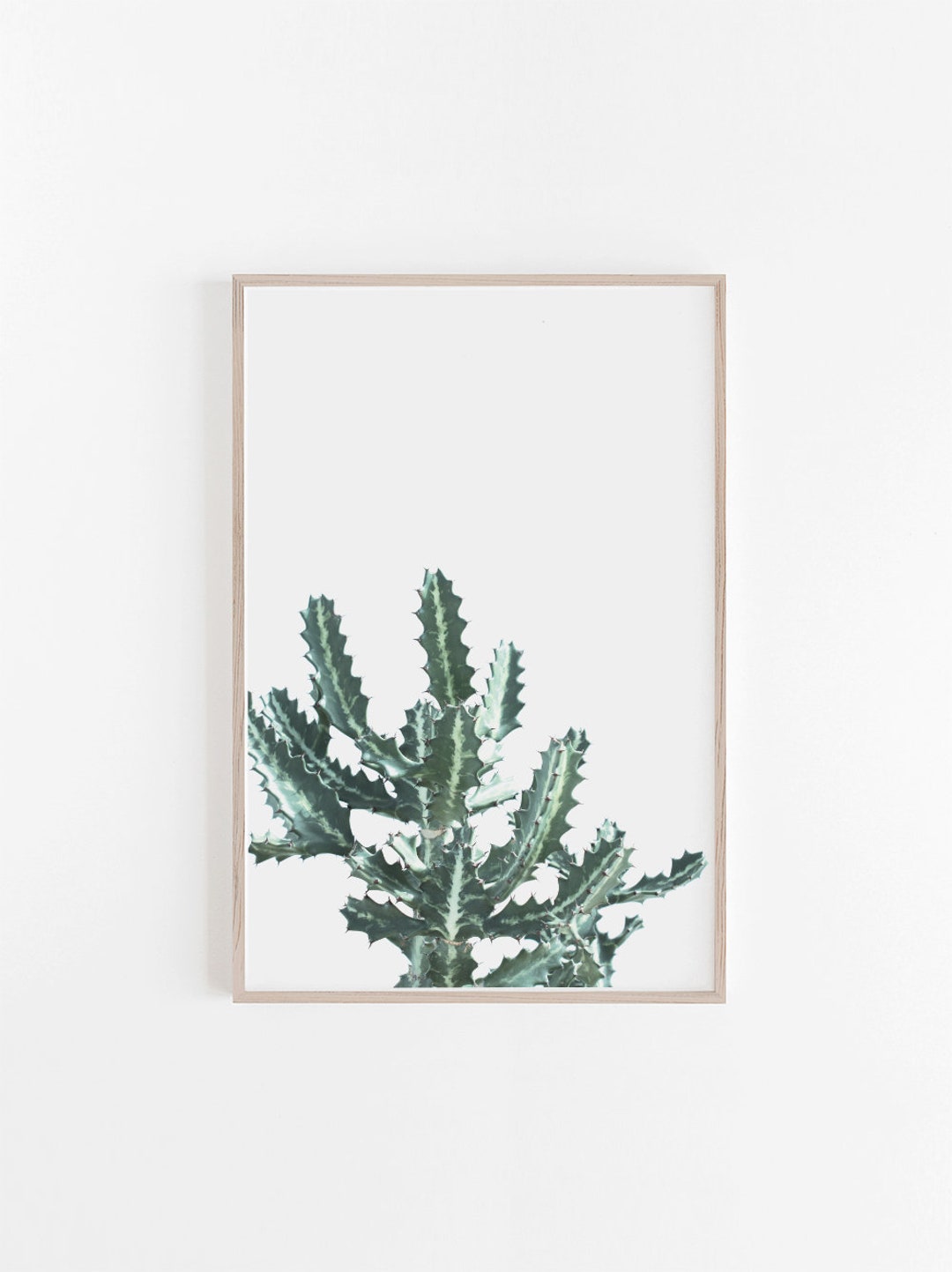 Cactus Print Wall Artcactus Artdesert Printnature Etsy