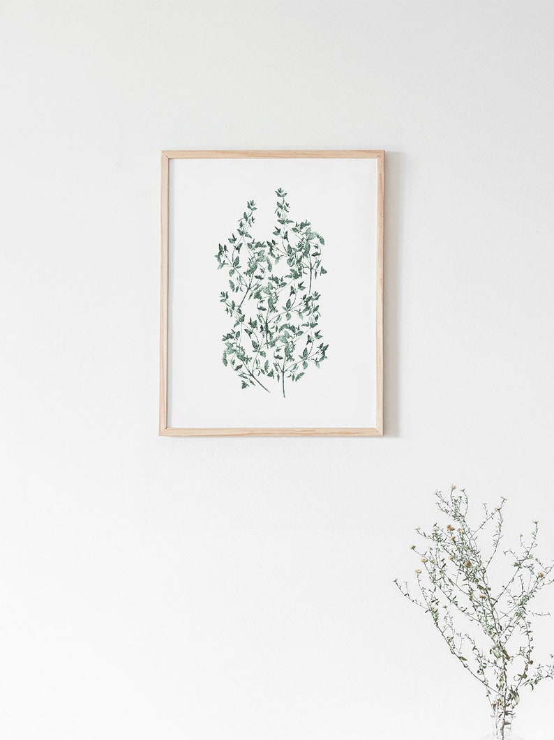 Thyme Print, Digital Print, Botanical Print, Printable Wall Art, Kitchen Wall Art, Green Wall Art, Art Print, Prints, Botanical Poster, Art image 4