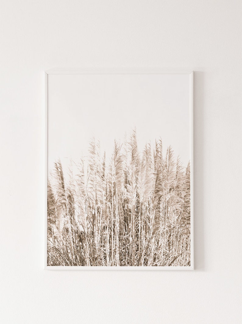 Pampas Prints, Digital Prints, Printable Wall Art, Natural Print, Natural Wall Art, Nature Print, Nature Wall Art, Rustic Print, Wall Art