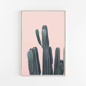 Kaktus Druck,Modern Minimalist,Druckbare Kunst,Kaktus Poster,Kaktus Poster,Kaktus Fotografie
