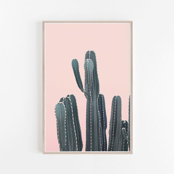 Cactus Print,Modern Minimalist,Wall Prints,Printable Art,Cacti,Digital Prints,Cactus Wall Art,Cactus Poster,Cactus Prints,Cactus Photography