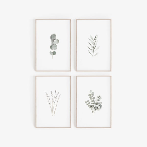 Set of Prints,Digital Prints,Printable Art,Botanical Prints,Eucalyptus,Set of 4,Modern Farmhouse,Farmhouse Decor,Farmhouse Print,Dusty Green