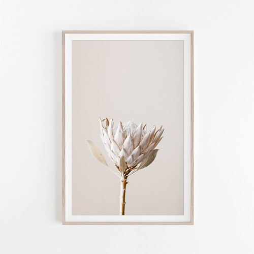 Protea Art Print Flower Print Wall Decor Wall Art Print Etsy