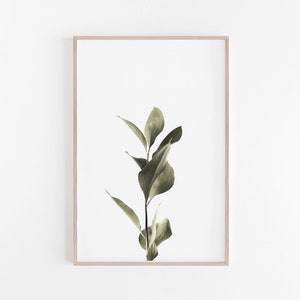 Botanical Print, Poster, Art Print, Botanical Wall Art, Plant Print, Botanical Art, Botanical Poster, Botanical Prints, Printable Wall Art